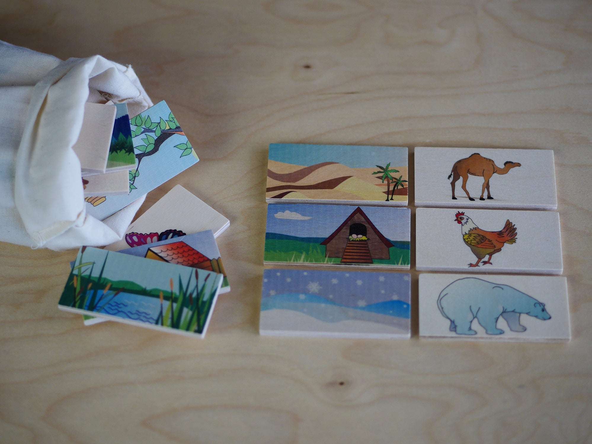 Animal Habitat Matching Tiles - Image 5