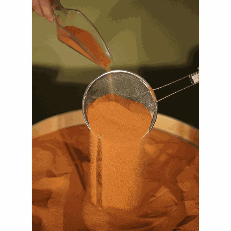 Jurassic Sand Original - Image 6