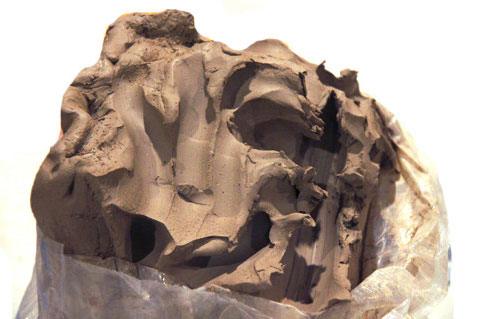 Laguna Clay - 25lbs - Image 3
