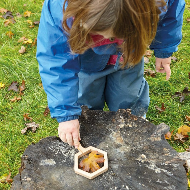 Natural Shape Viewers - Image 3
